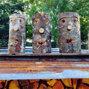 These fire starting buddies are available for sale, as well as seasoned hardwood.